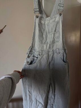 Free People Stripped Overalls